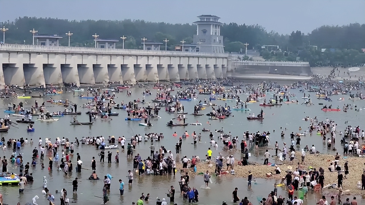 嶂山闸关闸大鱼搁浅，引发“万人捕鱼盛会”，捞条青鱼可卖260元