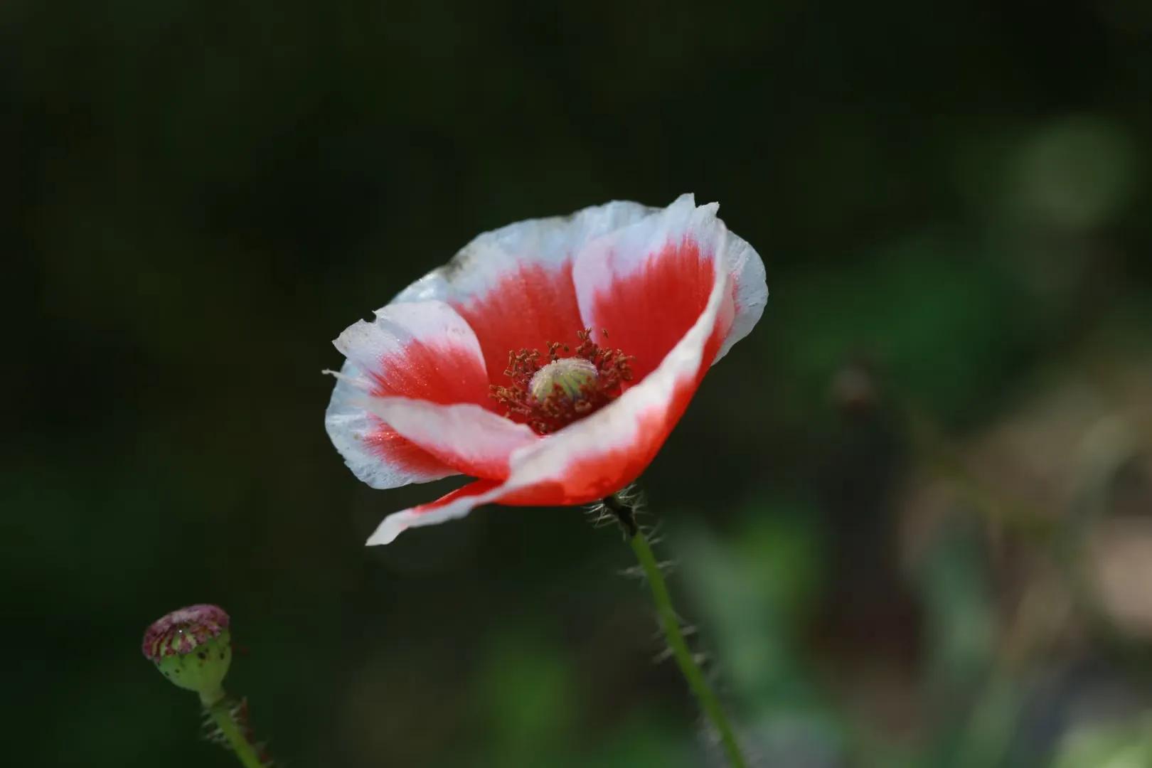 如何管理团队的方法和技巧,工作群特别多如何管理