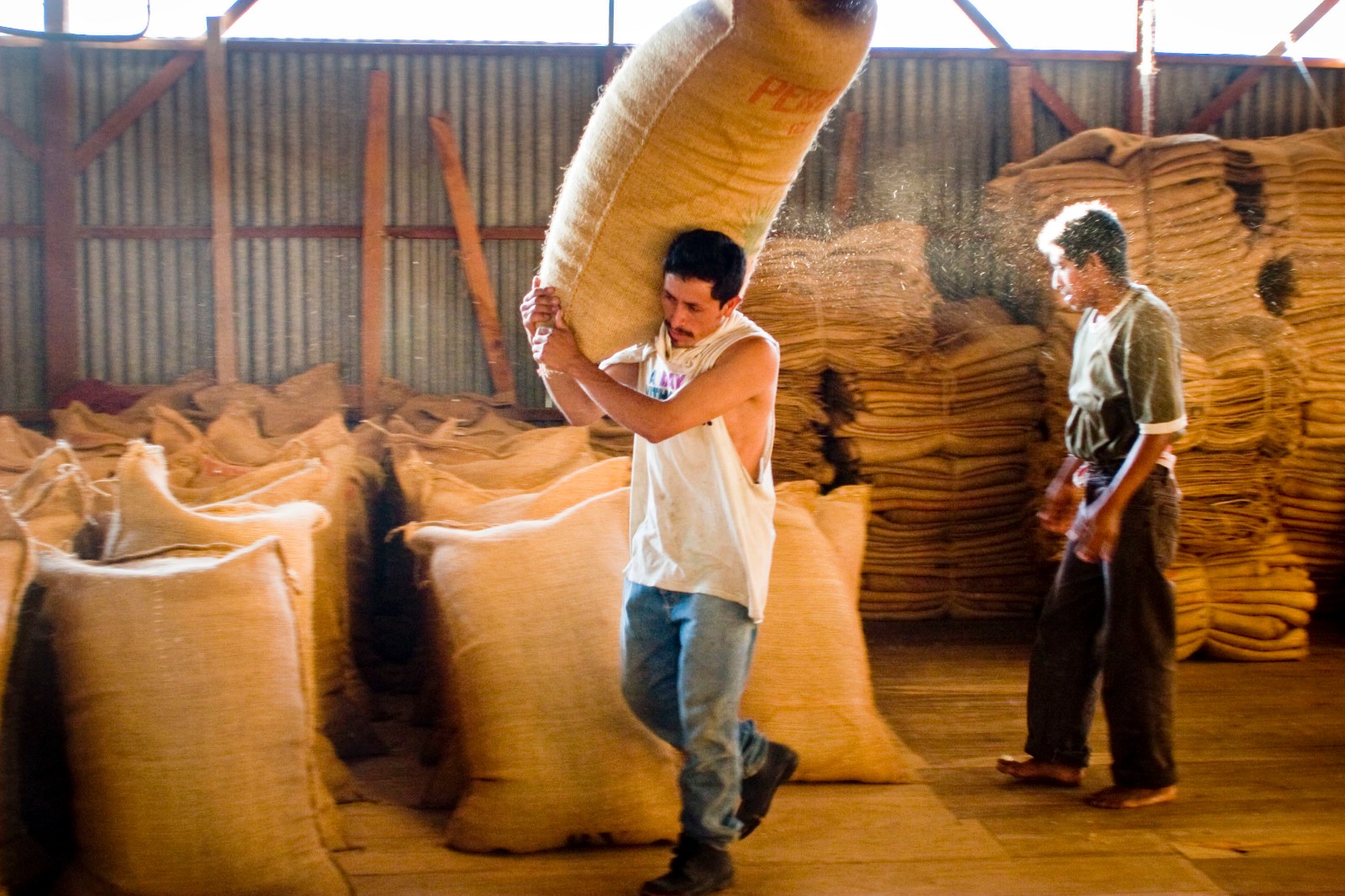 20世纪上半期的墨西哥,墨西哥1970年代经济