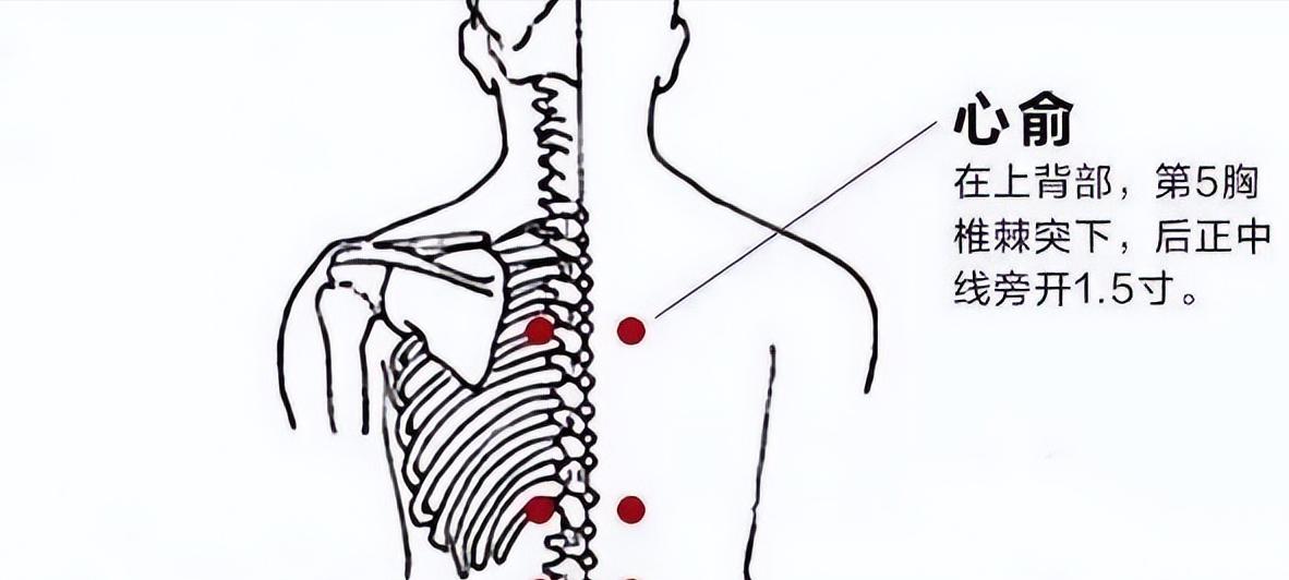 嘴唇发紫是心脏什么问题,心脾两虚的嘴唇是发紫吗