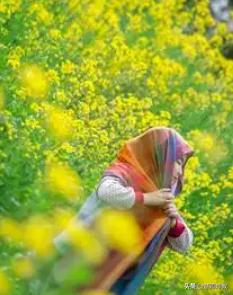 六年级下册习作让真情自然流露,六下让真情自然流露习作例文