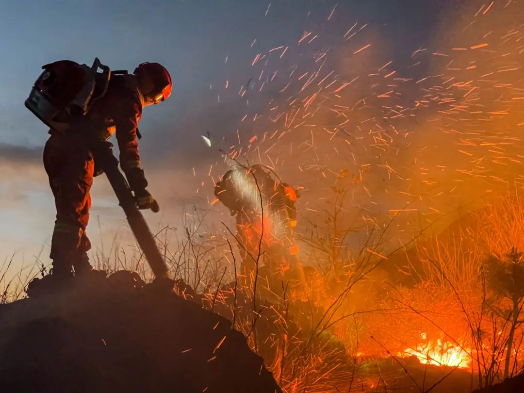 森林消防员应该怎么考,云南森林消防员训练