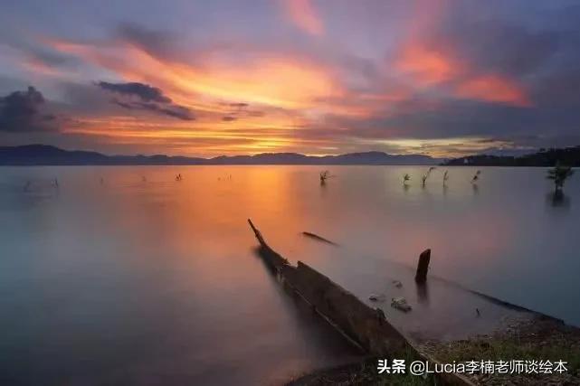 “一鲸落，万物生”，你听说过吗？