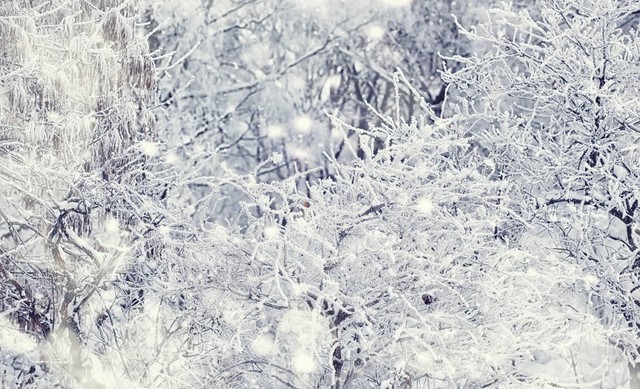 一月到十二月的最美古诗词,十二个月的经典古诗词