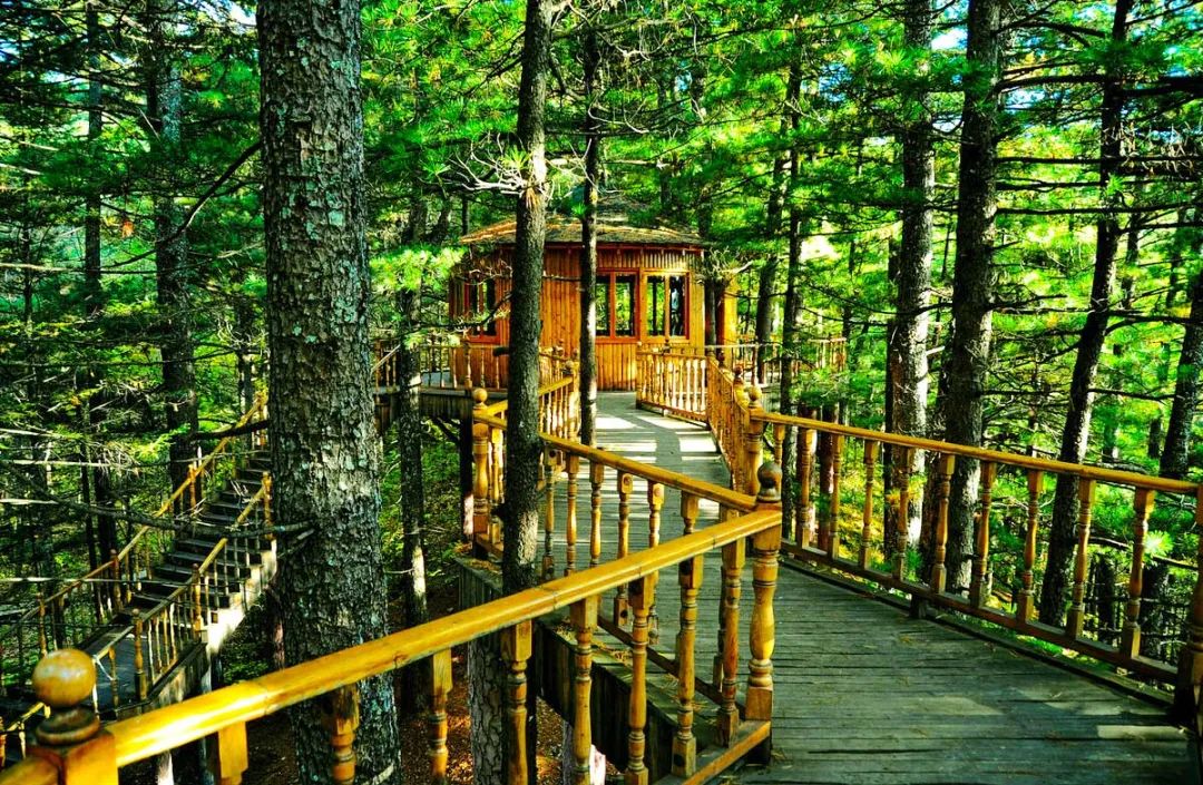 自驾游夏天避暑路线推荐,夏季旅游避暑自驾攻略图