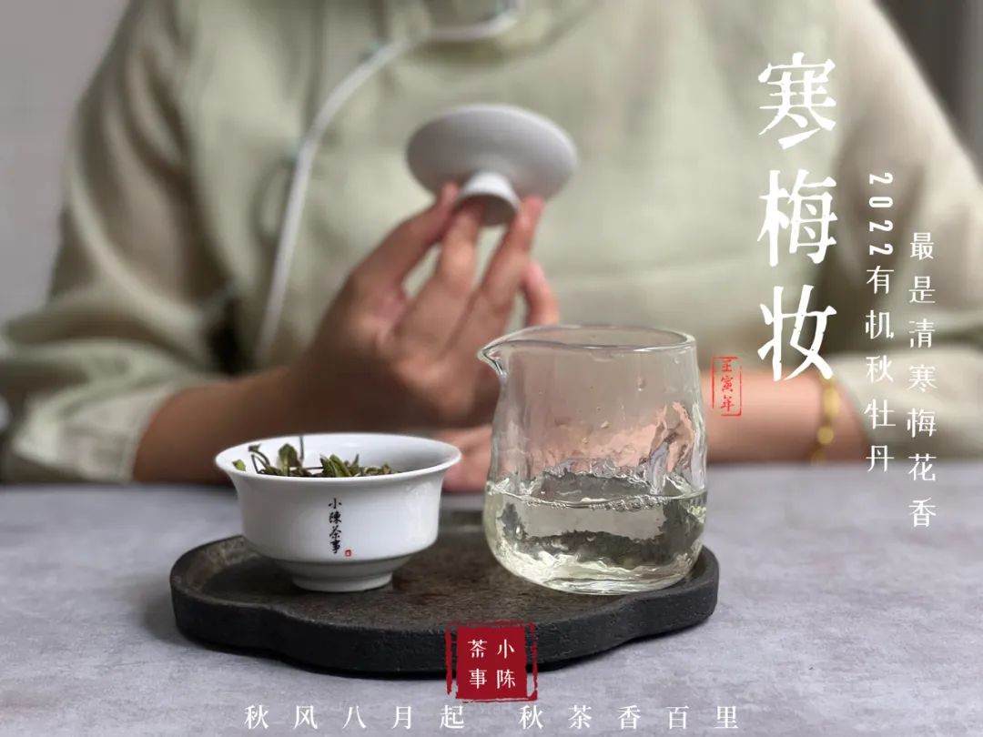 盖碗跟紫砂壶哪种适合泡白茶,白茶用紫砂壶还是盖碗
