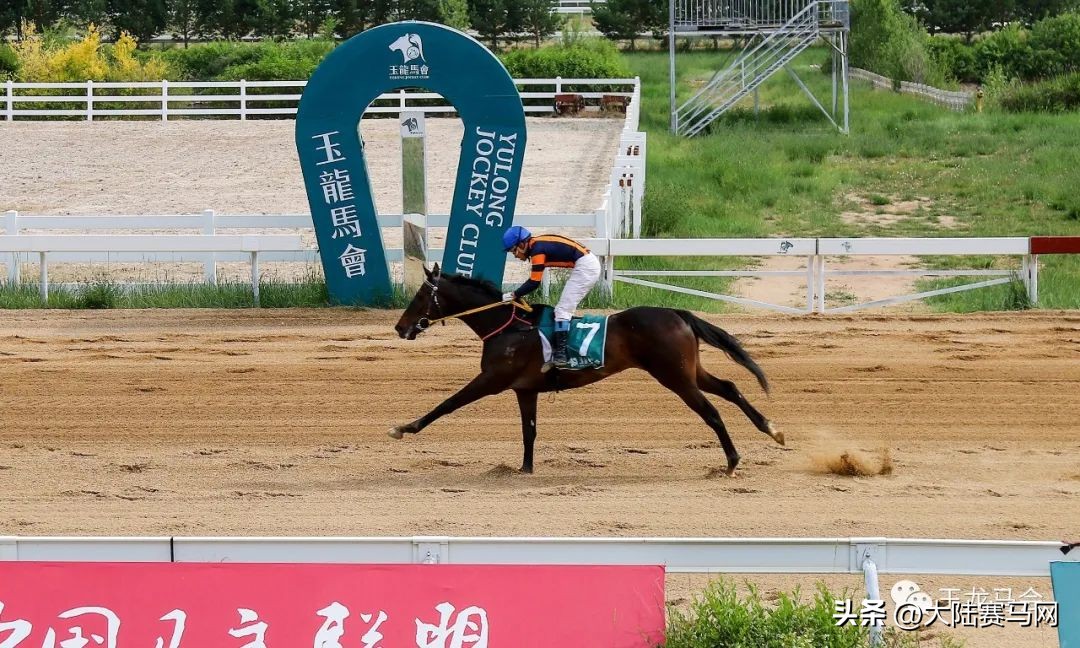 两匹2岁国产马千米跑进1分05秒！2023玉龙第7赛事日战报出炉