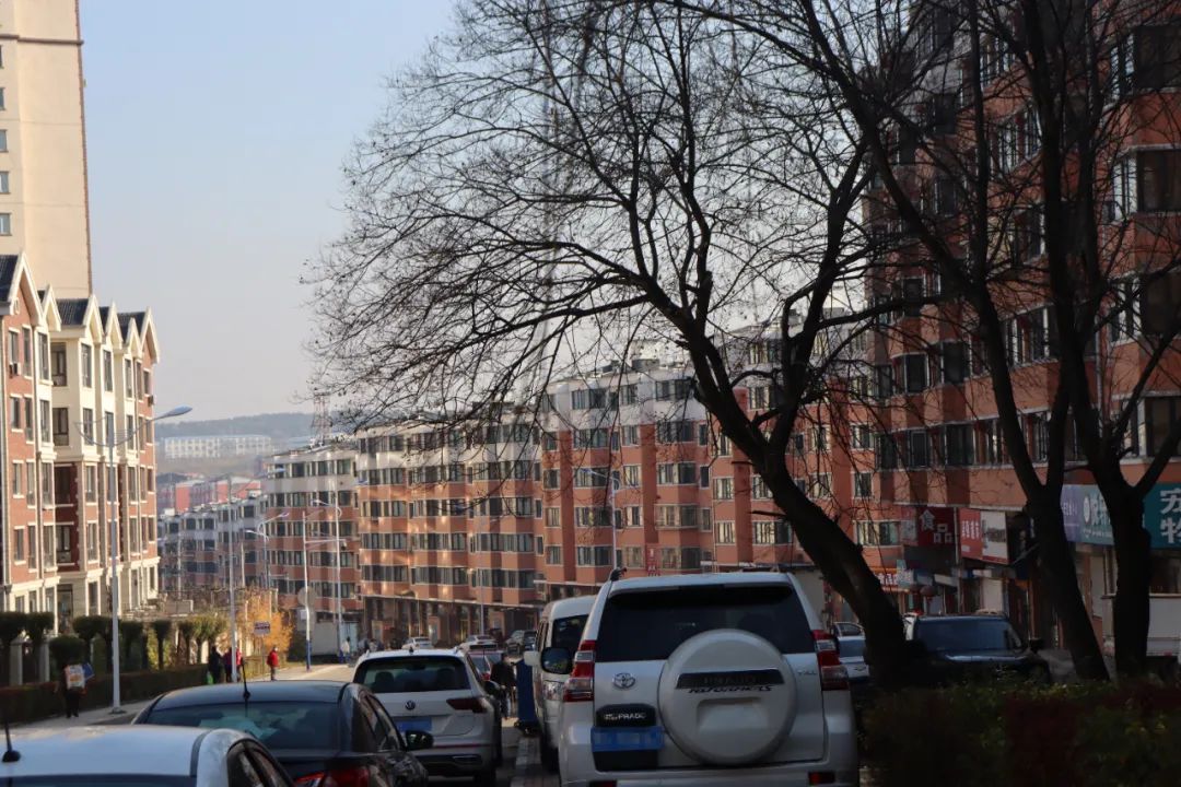 鹤岗乌托邦别墅地址,鹤岗乌托邦烤羊腿南山店