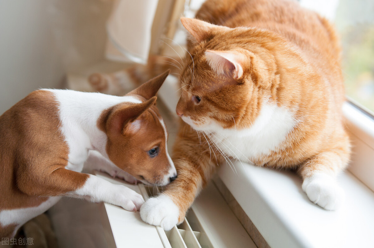 要读专科的话要选择什么专业,专科要不要选个专业能力强的专业