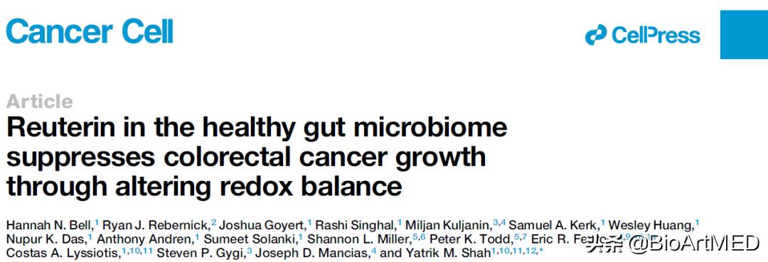 澶ц偁鐧屾不鐤梒sco鎸囧崡,鑲跨槫鏍囧織鐗╂不鐤楃粨鑲犵檶