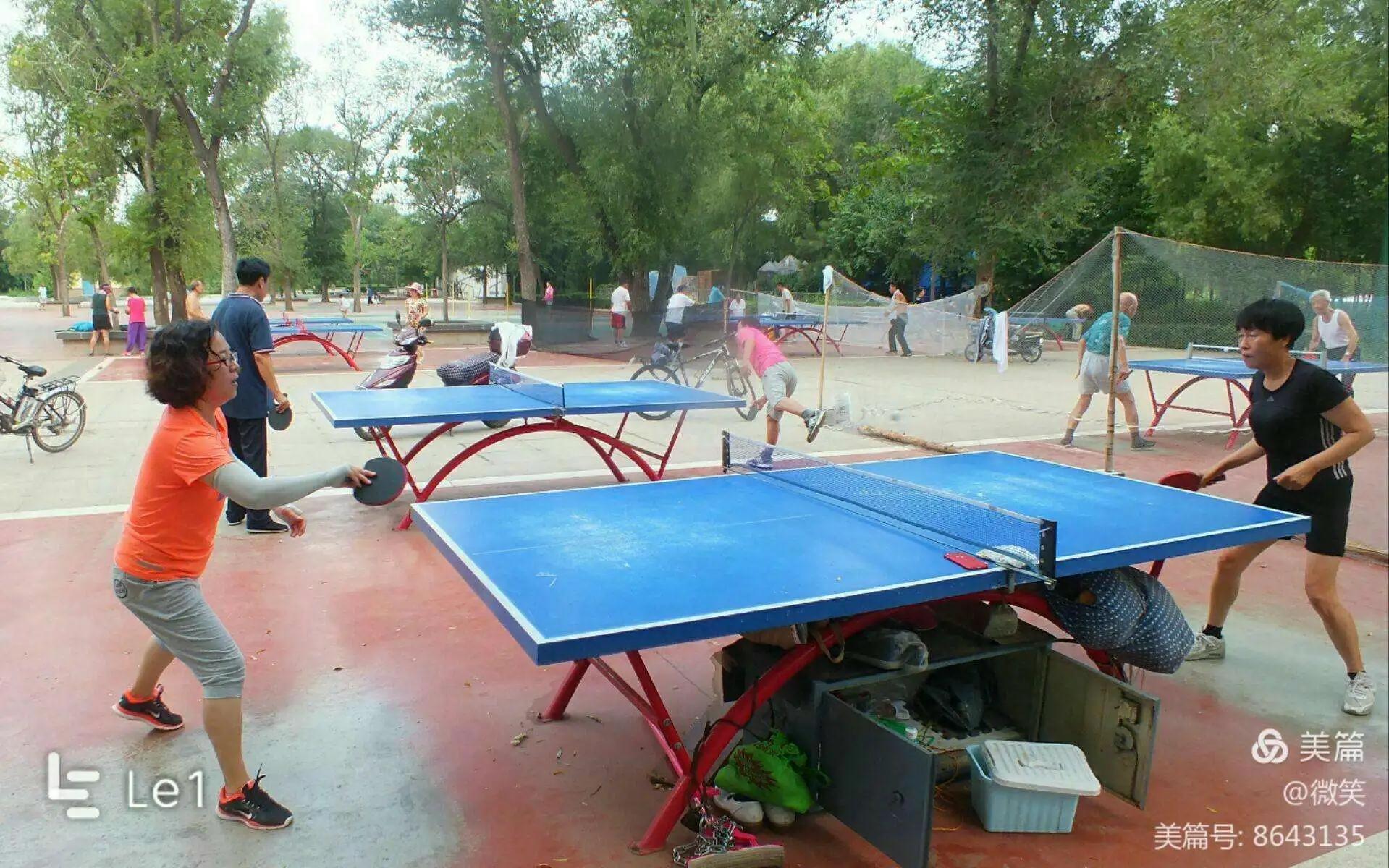 让人惊心动魄的一场乒乓球比赛,一场没赢乒乓球比赛收获了什么