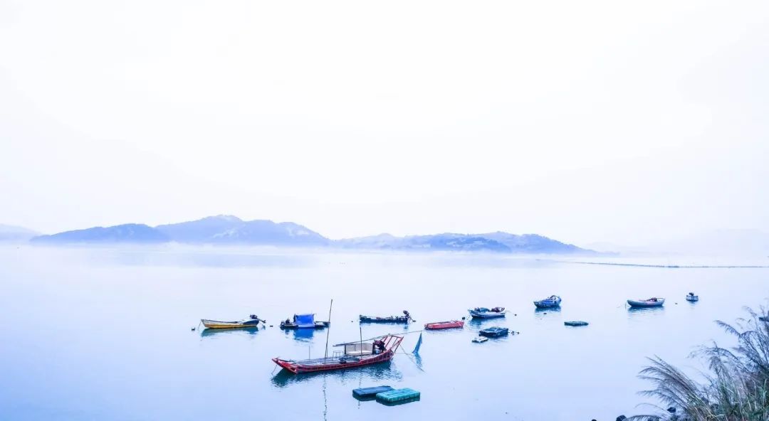 你几月出生就是什么命太准了,几月生是水命人