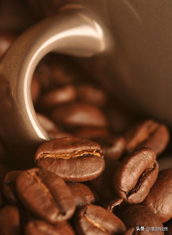 什么牌子的咖啡豆最正宗好喝又香,咖啡豆推荐意式咖啡顶级