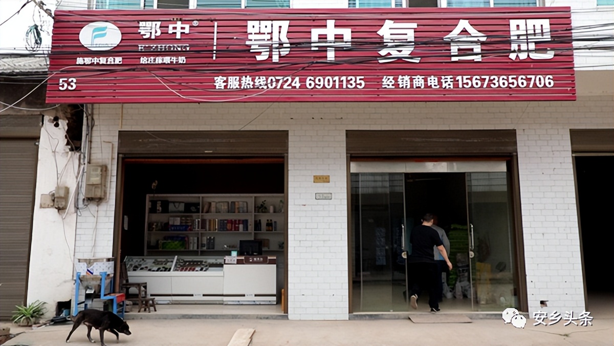 退伍回乡当村干带动百姓致富,优秀士兵回乡创业