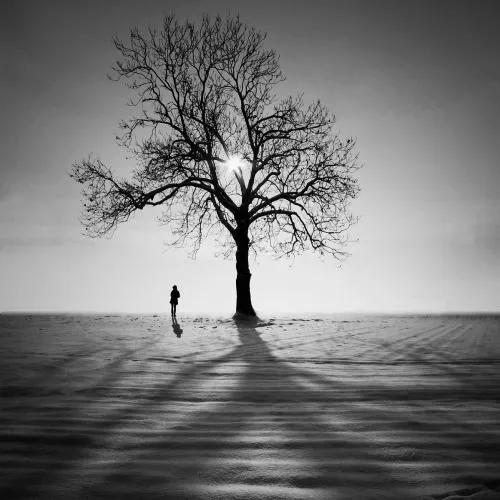 鍏荤埗璁茶堪浜茬敓鐖舵瘝,鍏荤埗璁茶堪浜茬敓鐖舵瘝杩囧線