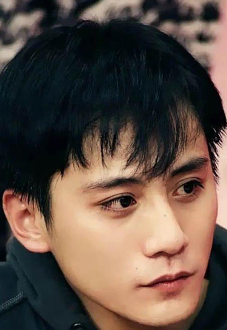 刘烨和谢娜现在结婚了吗,刘烨老婆安娜谢娜