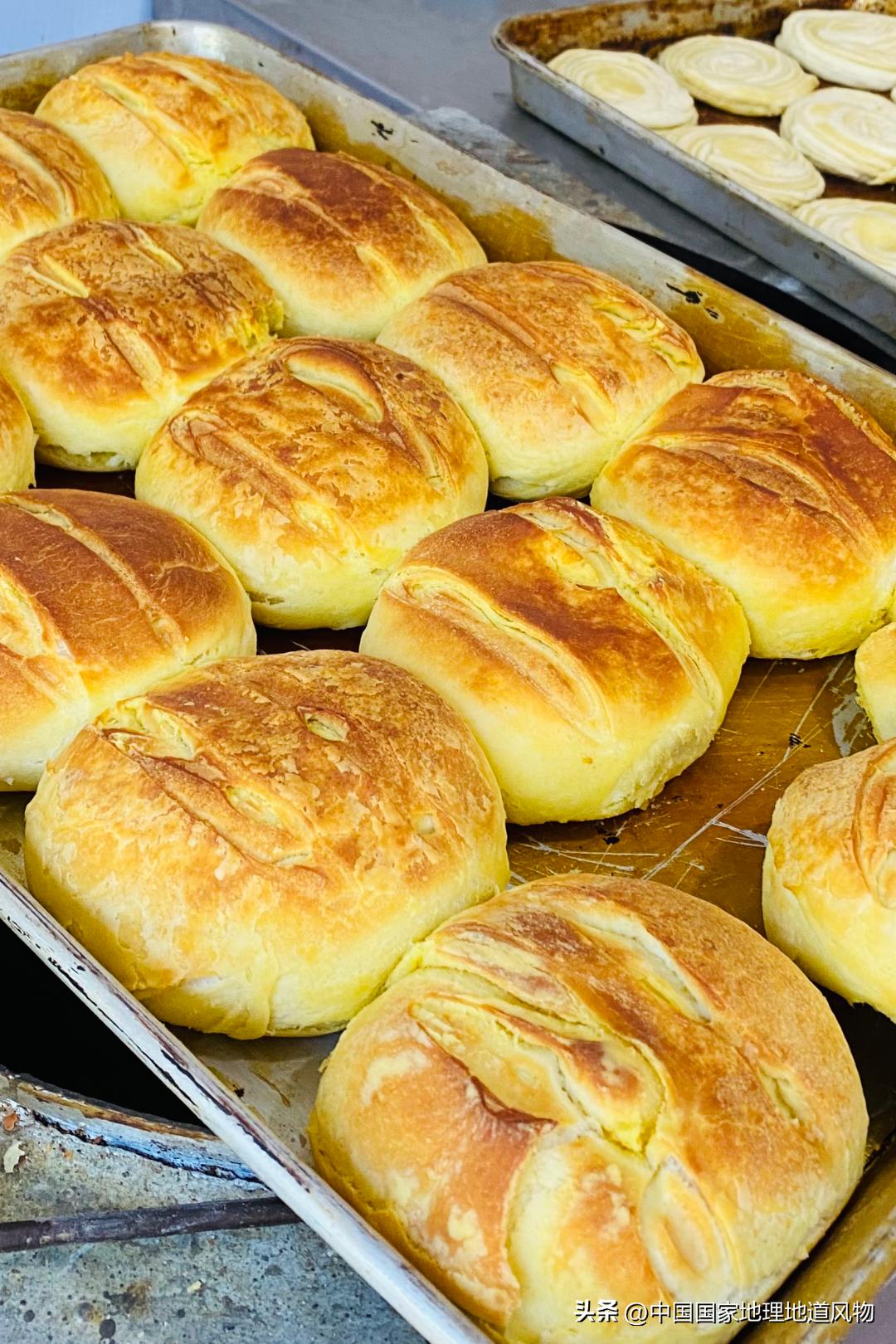 中国养羊最多的地方是哪里,中国养羊第一名