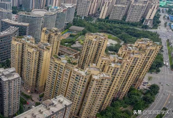 草堂子美,草堂子美怎么样