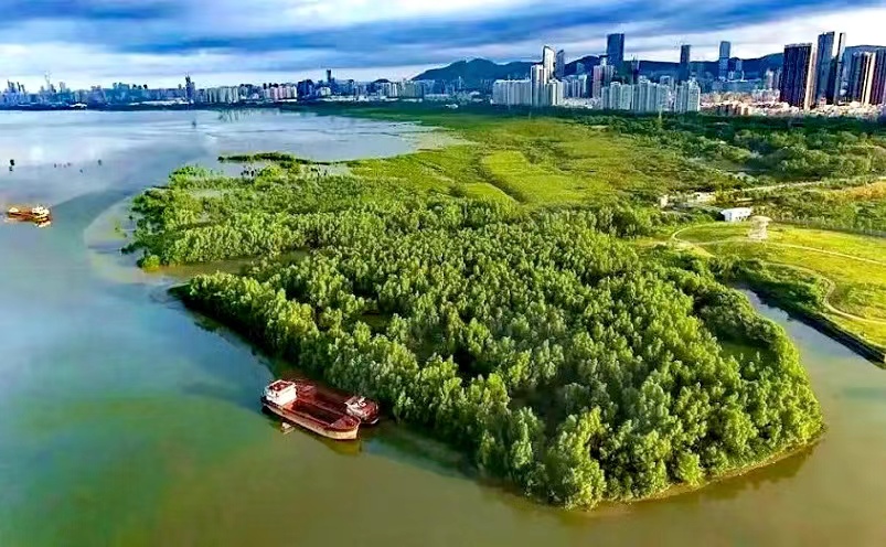 深圳十大必去的景点,深圳十大必玩景点排行榜