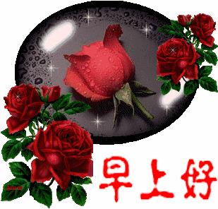 周日早上好温馨问候语图片,周末最暖心的早上好问候语