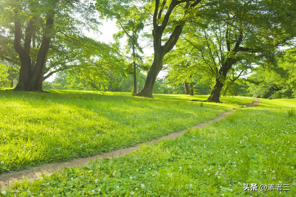 女作家去做保姆和雇主过招,女作家去做保姆982集