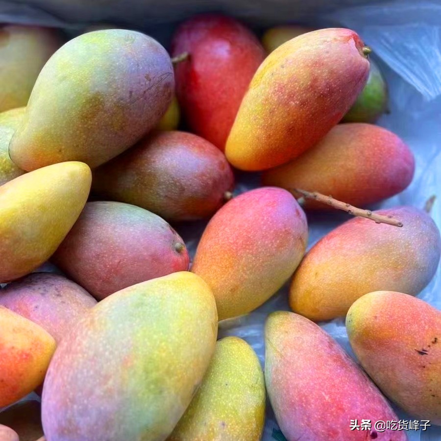 6种水果不要不舍得给宝宝吃,立秋后多给孩子吃这六种应季水果