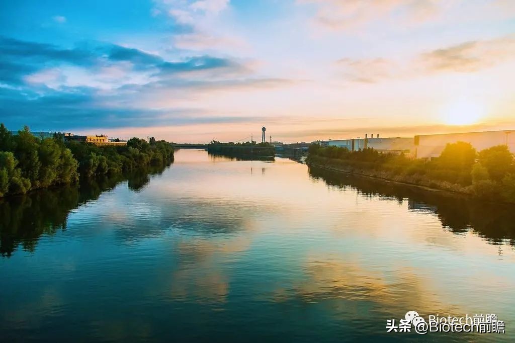 百济神州pd1单抗鳞癌,百济神州替雷利珠单抗pd-1