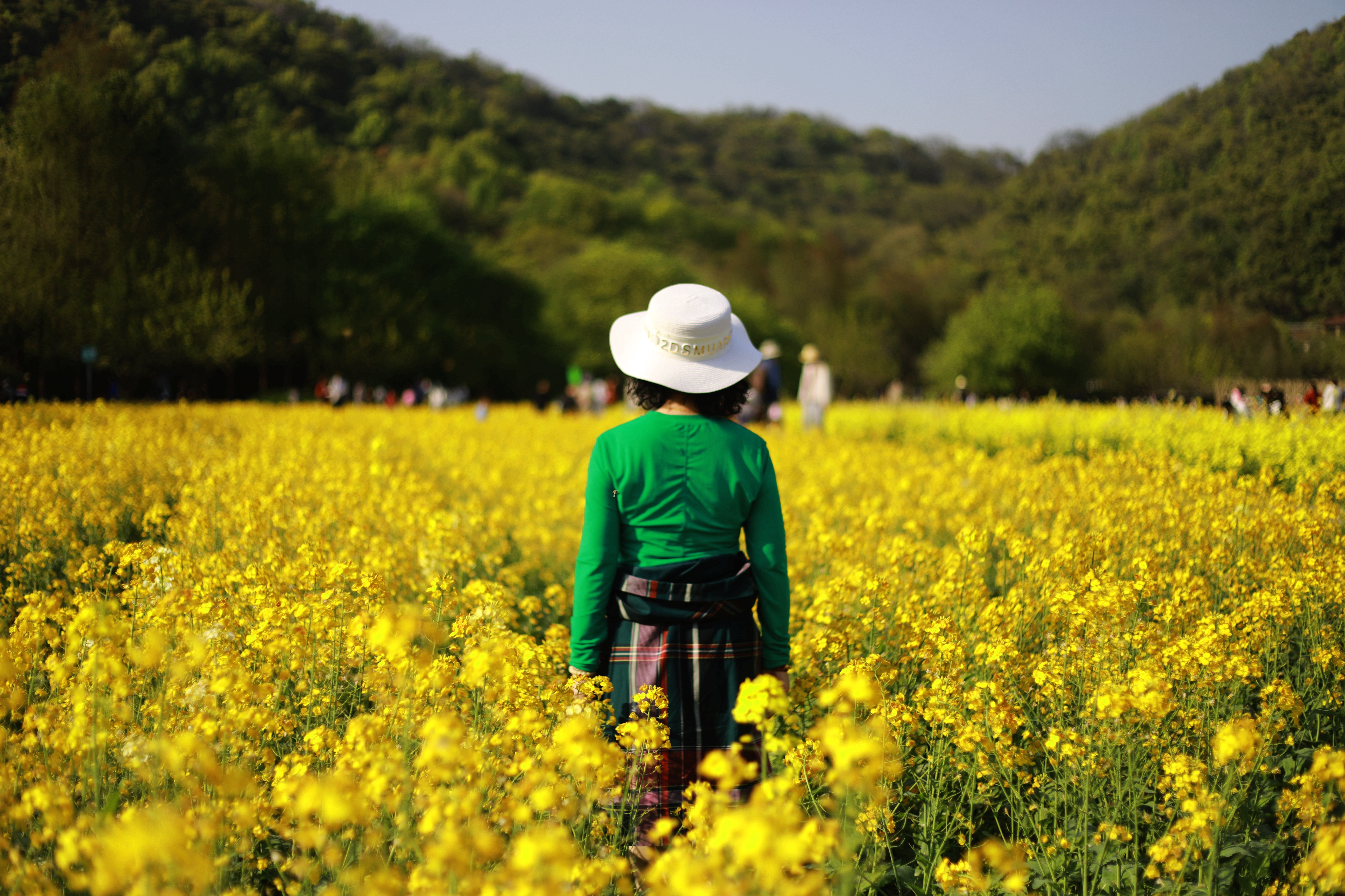 八卦田遗址公园直播,八卦田遗址公园平面示意图