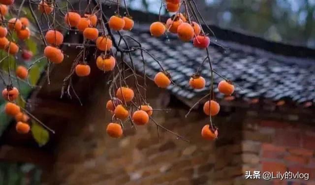 湖北南漳有个什么森林小镇,南漳是湖北的哪个市