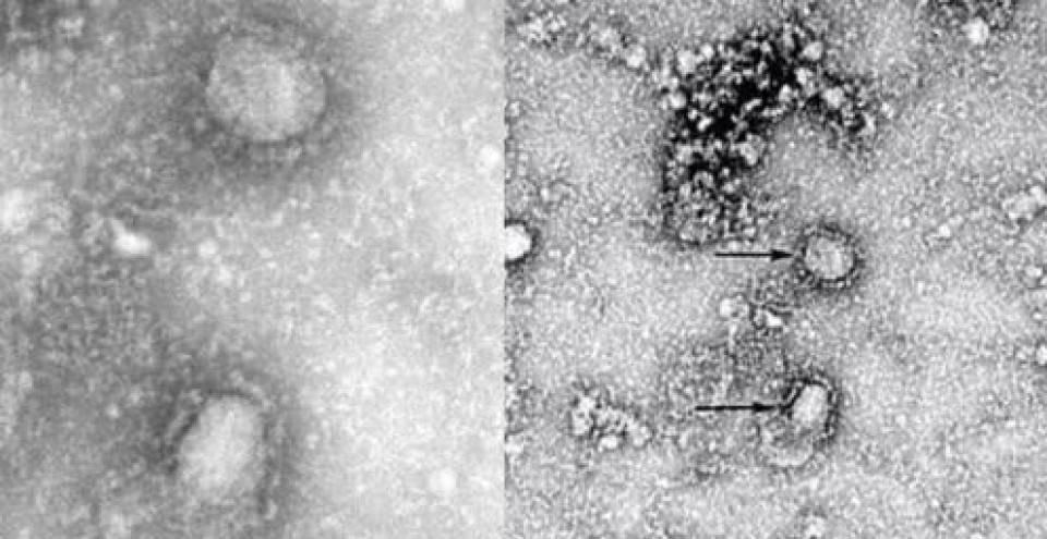 历史上的今天11月7日,历史上的今天11月7号
