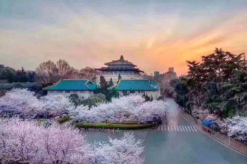 计算机类专业选武汉大学还是华中科技大学?