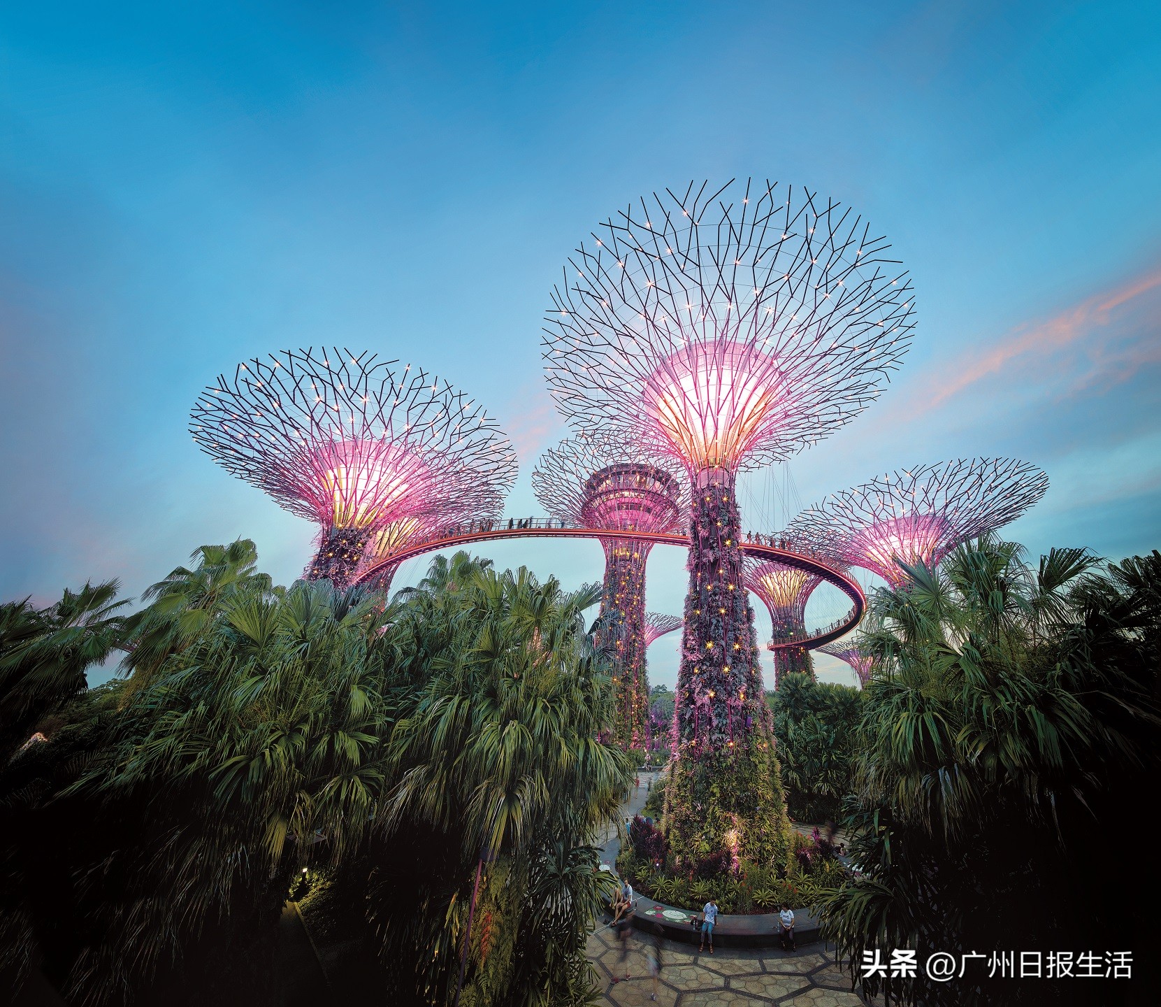 鎵撻鐨勫幓閲嶅簡寰掓涓夊场涔嬪穮,鎵撻鐨勫幓鐪嬫捣