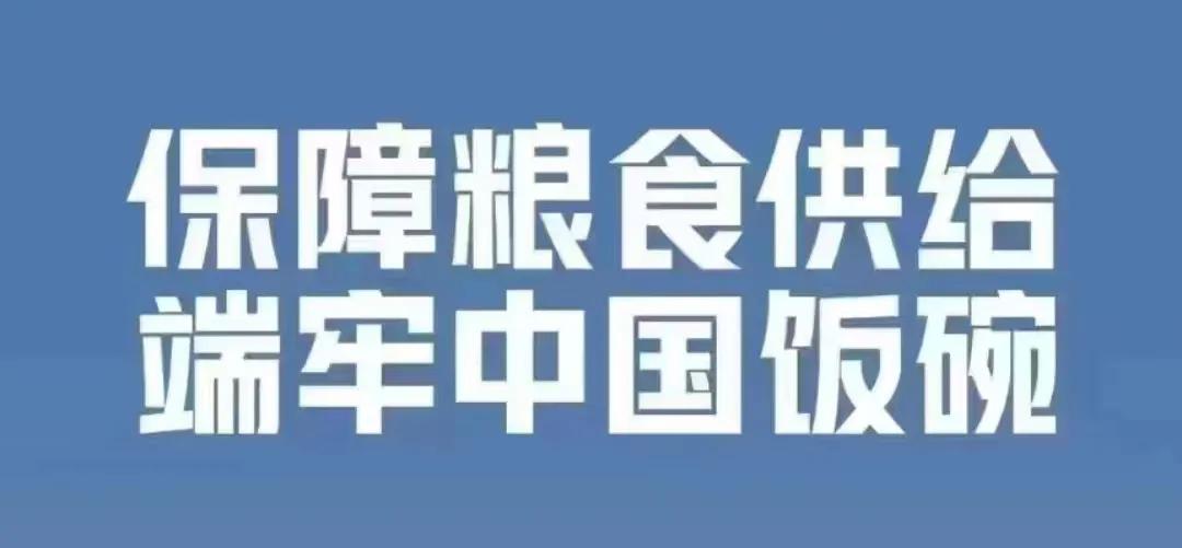 粮食安全和生态安全之间的关系,生态安全与粮食安全发展的措施