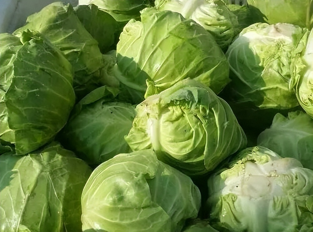 眼睛不舒服可以吃什么蔬菜缓解,对眼睛有好处的蔬菜和水果有哪些