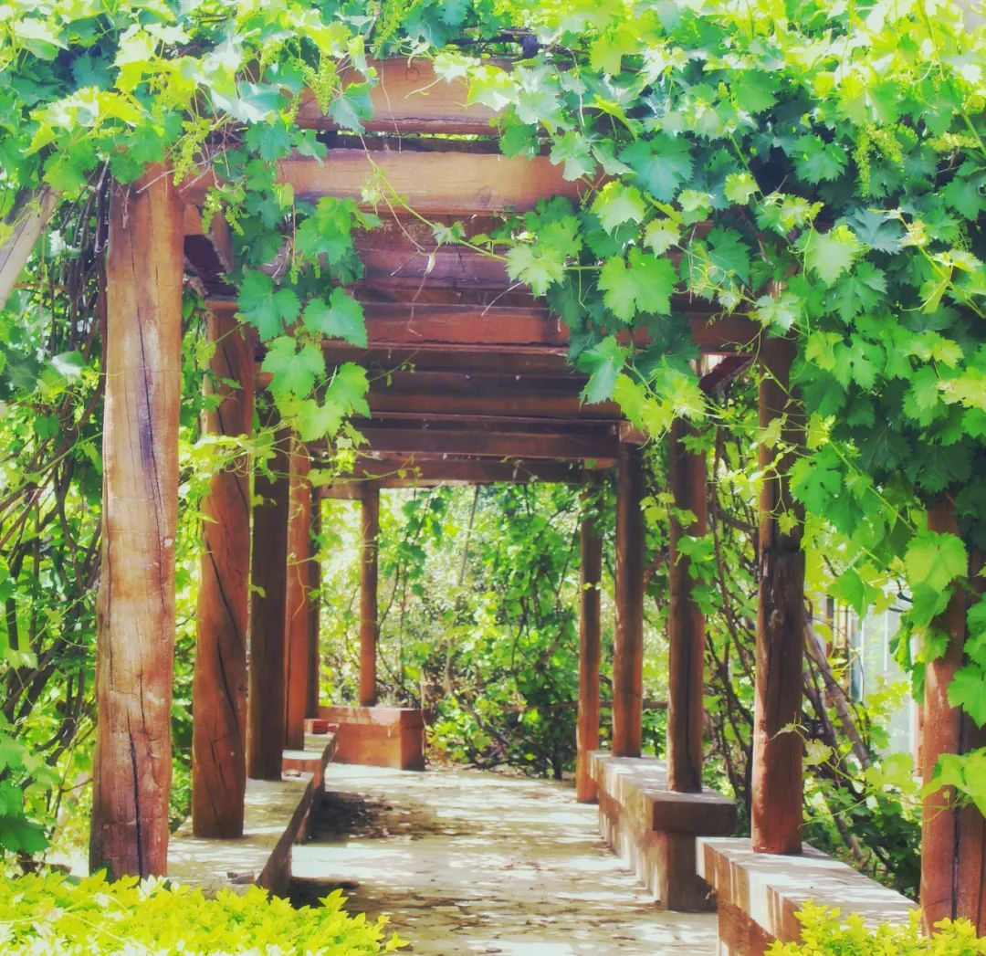 人情世故的经典古诗词,一首古诗写尽人情世故