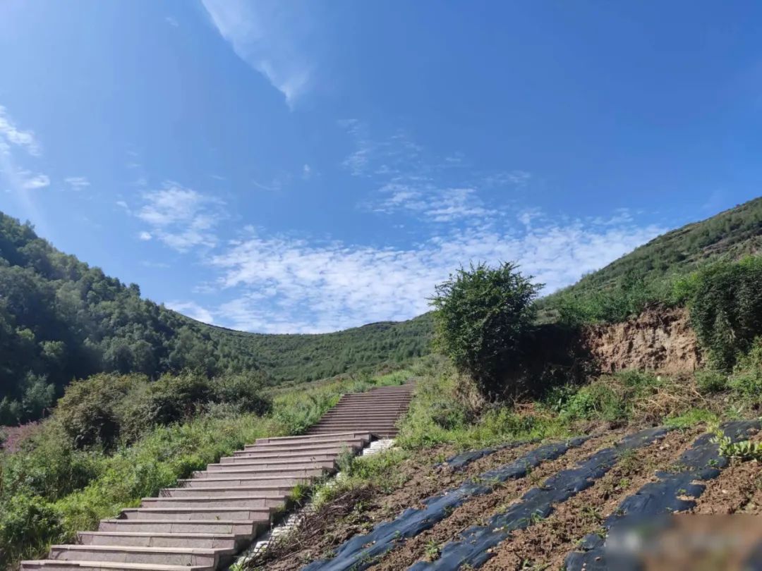 我们这十年原视频,我们这十年东乡