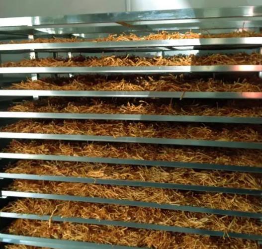 没有什么是“干”不了的-黄花菜烘干工艺