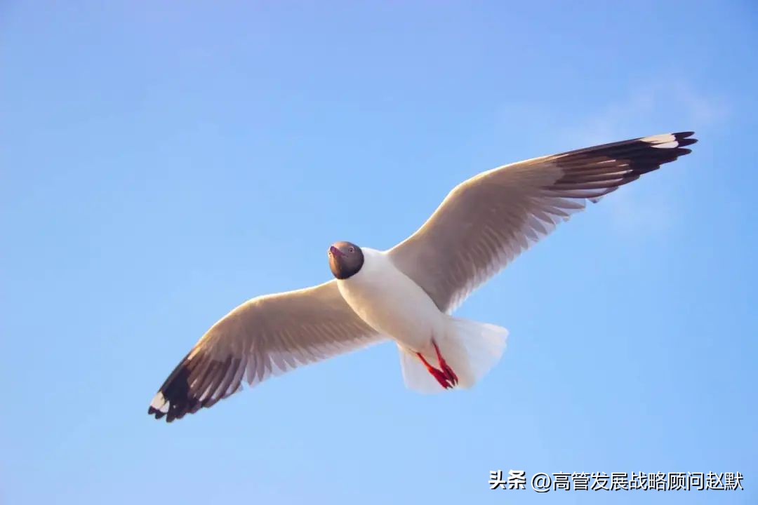 前百度运营,百度前高管谈百度的失败