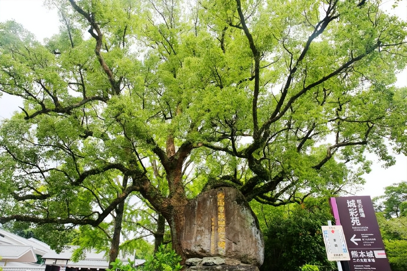 带孙女出去看世界,带着孙女看世界