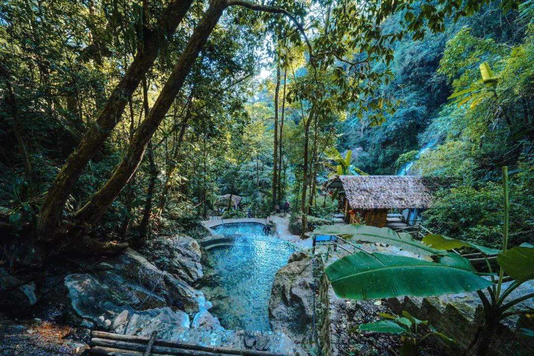 樱花谷温泉,樱花谷温泉攻略