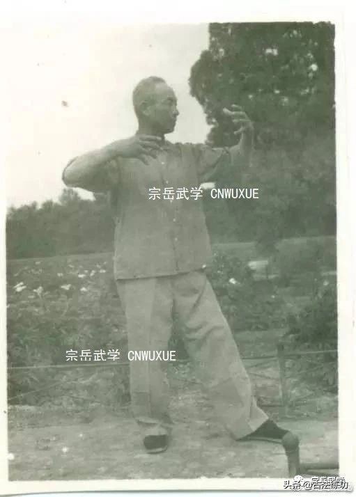 形意拳整体发力,格斗中的整体发力