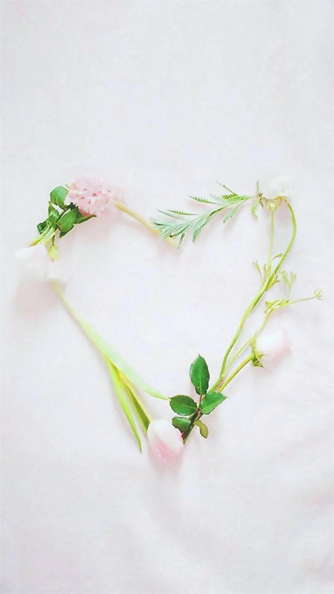 好看的的壁纸高清,好看的壁纸正方形图片