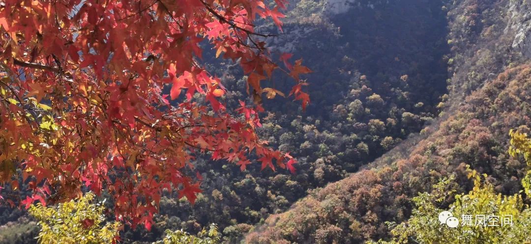 锦州青岩寺歪脖老母旁边的树,青岩寺歪脖老母在锦州哪里