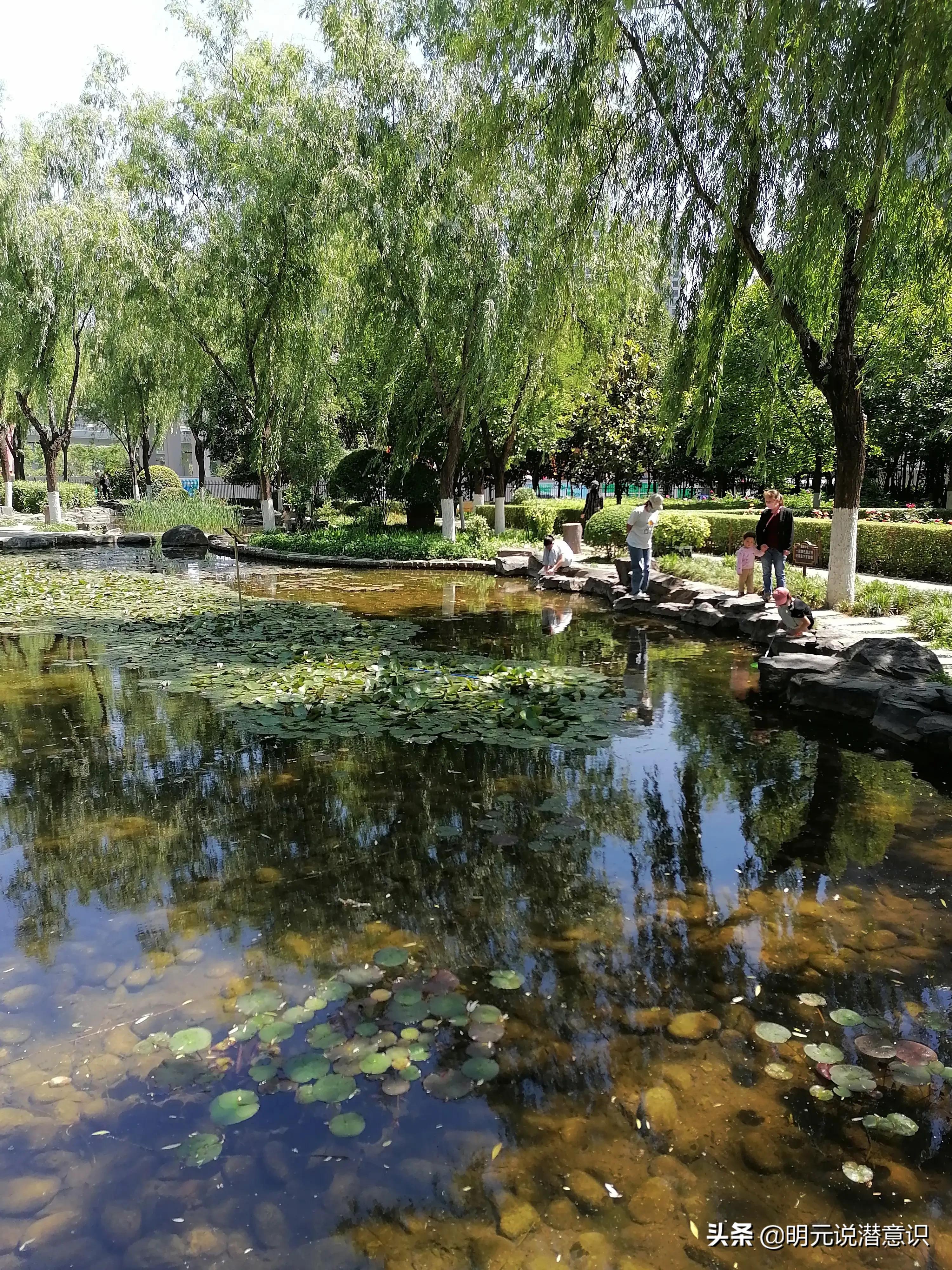 言不达意表达能力差怎么办,潜意识与沟通技巧