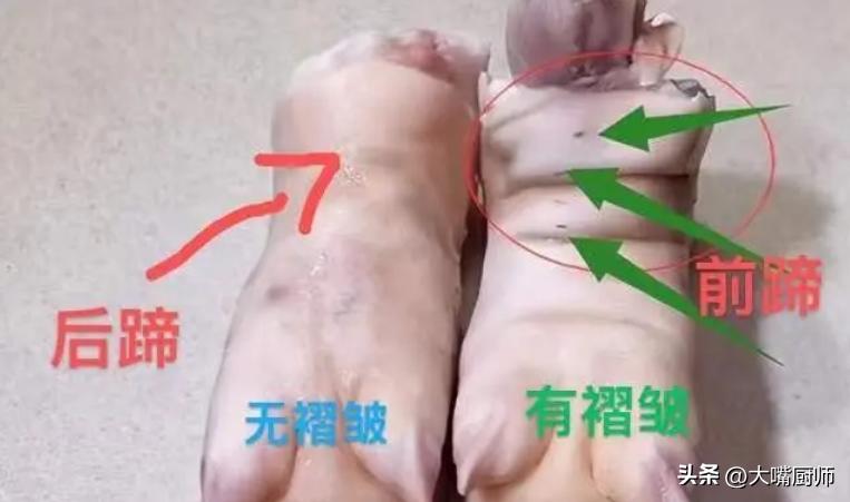 买猪蹄如何分辨前蹄和后蹄逻辑题,猪蹄买前蹄好还是后蹄好怎么区分