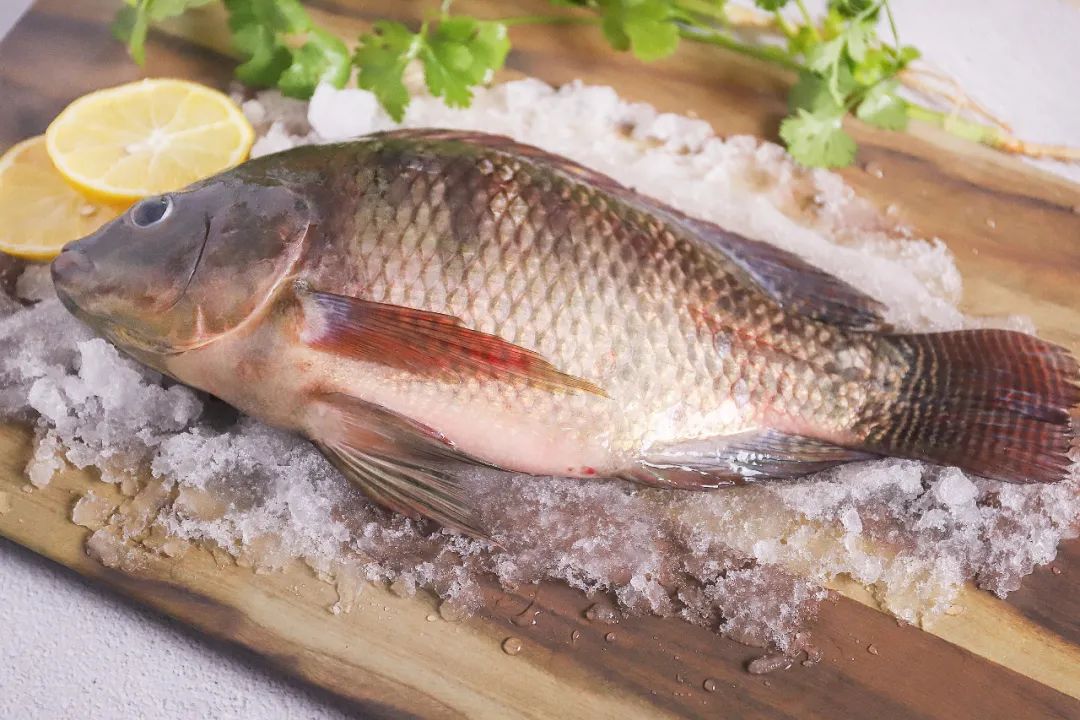 这种鱼叫鲷不是鲷，无土腥味却因名字被厨师误解多年