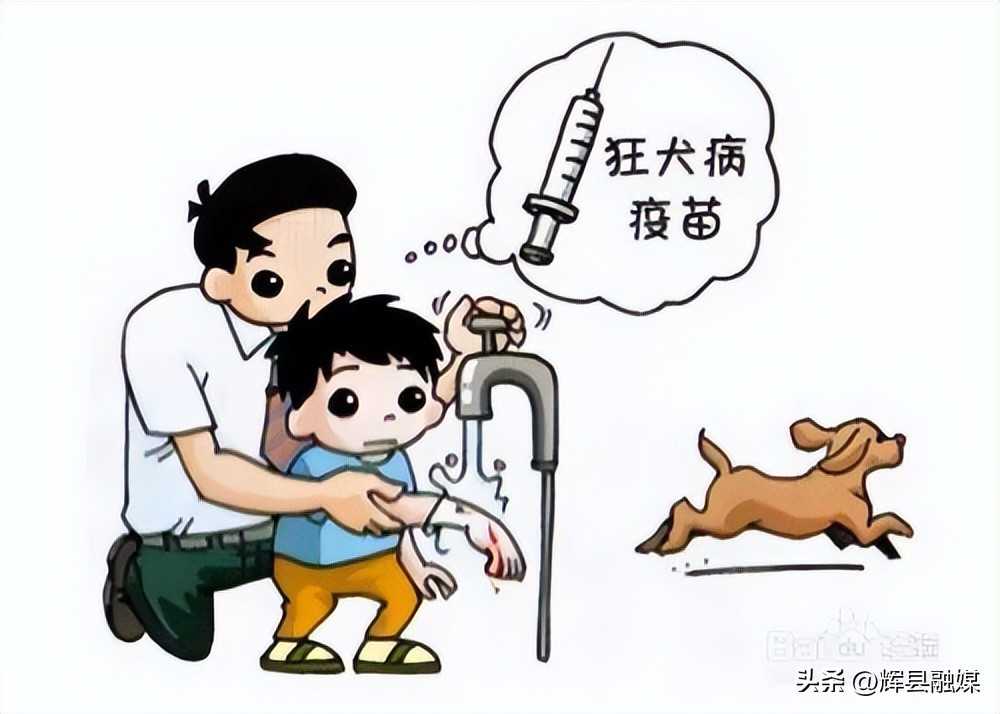 在户外如何预防被动物咬伤,假期意外伤害防治