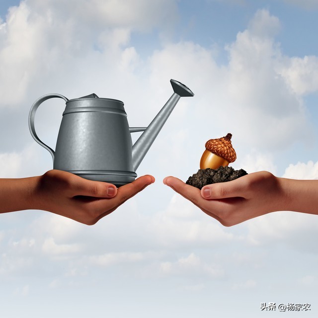 未来几年农业种植发展趋势,山区农业发展趋势及未来