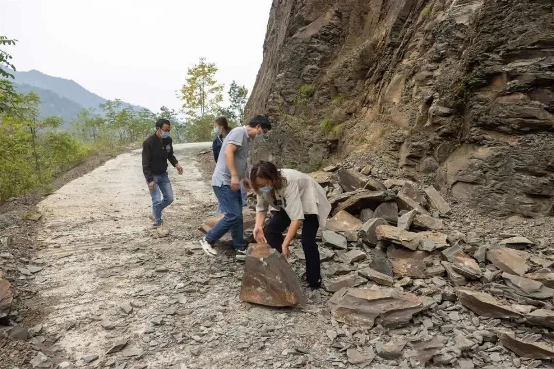 大山“疫”线皮卡妹：感恩回报乡梓，巾帼不让须眉
