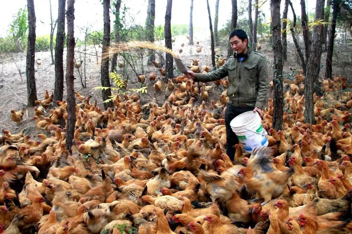 农村热门的小生意做什么好,现在农村做什么小生意比较好挣钱